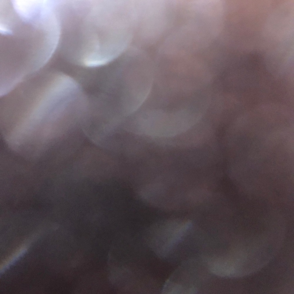 Meet your Posher, Rosalie